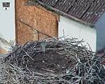 Capi_Dubne_20260915_132003.jpg