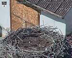Capi_Dubne_20260915_140503.jpg