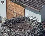Capi_Dubne_20260915_141503.jpg