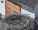 Capi_Dubne_20260915_150003.jpg