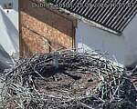 Capi_Dubne_20260915_160503.jpg