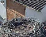 Capi_Dubne_20260915_162002.jpg