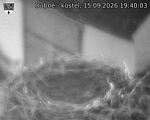 Capi_Dubne_20260915_194003.jpg