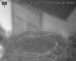Capi_Dubne_20260915_195003.jpg