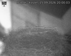 Capi_Dubne_20260915_200003.jpg (1350&nbsp;x&nbsp;1080)