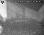 Capi_Dubne_20260915_202002.jpg