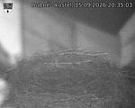 Capi_Dubne_20260915_203503.jpg