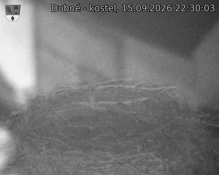 preload