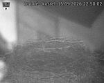 Capi_Dubne_20260915_225002.jpg