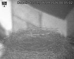 Capi_Dubne_20260916_000502.jpg