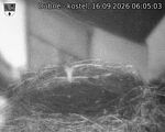Capi_Dubne_20260916_060503.jpg