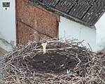 Capi_Dubne_20260916_064003.jpg