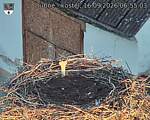 Capi_Dubne_20260916_065503.jpg