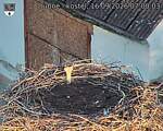 Capi_Dubne_20260916_070003.jpg