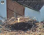 Capi_Dubne_20260916_071503.jpg