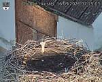 Capi_Dubne_20260916_072503.jpg