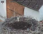 Capi_Dubne_20260916_073503.jpg