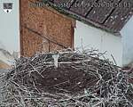 Capi_Dubne_20260916_085003.jpg
