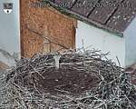 Capi_Dubne_20260916_093503.jpg