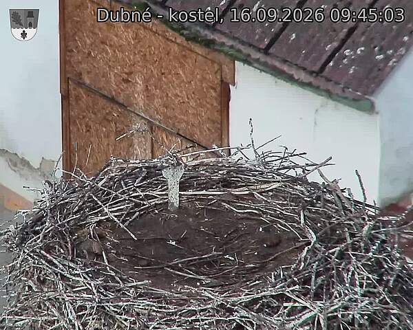 preload