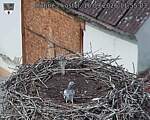 Capi_Dubne_20260916_115503.jpg