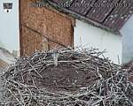 Capi_Dubne_20260916_120003.jpg