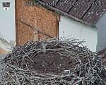 Capi_Dubne_20260916_122503.jpg