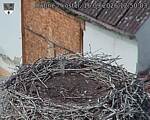 Capi_Dubne_20260916_125003.jpg