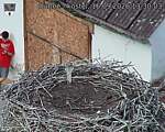 Capi_Dubne_20260916_133003.jpg