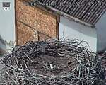 Capi_Dubne_20260916_145503.jpg