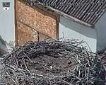 Capi_Dubne_20260916_150503.jpg