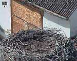 Capi_Dubne_20260916_151003.jpg