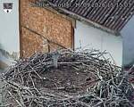 Capi_Dubne_20260916_151503.jpg