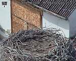 Capi_Dubne_20260916_152503.jpg