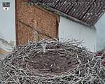 Capi_Dubne_20260916_171503.jpg