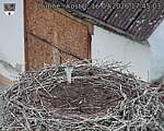 Capi_Dubne_20260916_174503.jpg