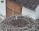 Capi_Dubne_20260916_180502.jpg