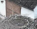 Capi_Dubne_20260916_181003.jpg