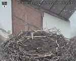 Capi_Dubne_20260916_182003.jpg