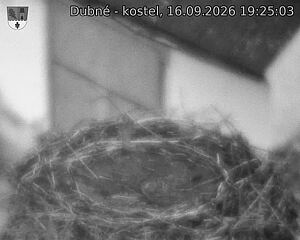 Capi_Dubne_20260916_192503.jpg (1350&nbsp;x&nbsp;1080)
