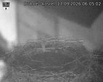 Capi_Dubne_20260917_060502.jpg