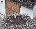 Capi_Dubne_20260917_065003.jpg