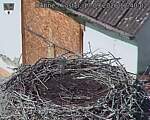 Capi_Dubne_20260917_124002.jpg