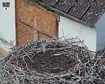 Capi_Dubne_20260917_130504.jpg