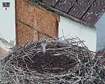 Capi_Dubne_20260917_131503.jpg