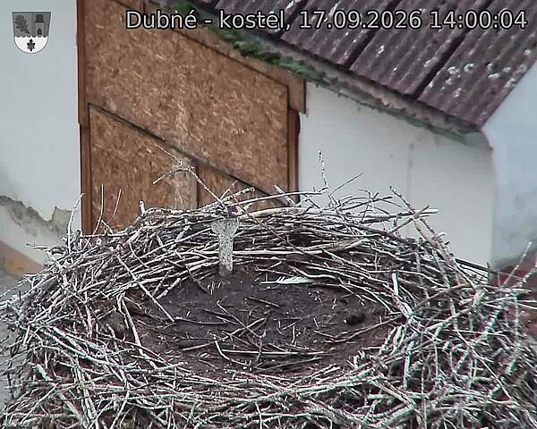 Capi_Dubne_20260917_140004.jpg (1350&nbsp;x&nbsp;1080)