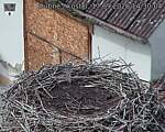 Capi_Dubne_20260917_143004.jpg