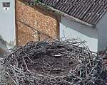 Capi_Dubne_20260917_150504.jpg