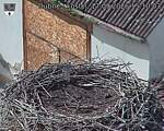 Capi_Dubne_20260917_151003.jpg