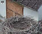 Capi_Dubne_20260917_154503.jpg